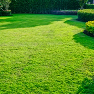 Lawn Maintenance